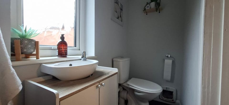 Toilet, Bathroom