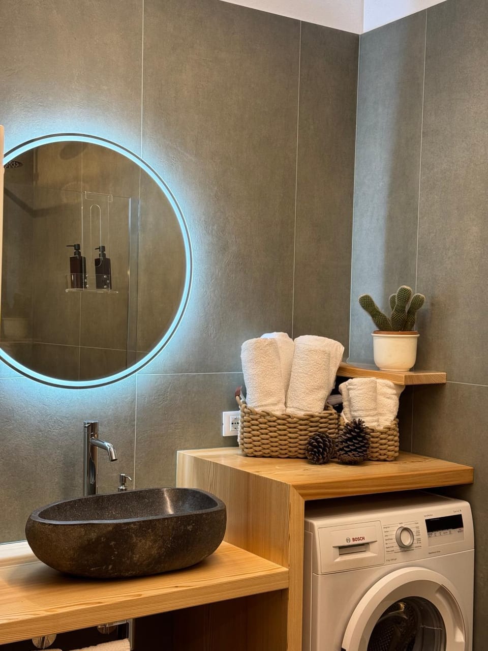 Bathroom, hair dryier, towels, washing machine