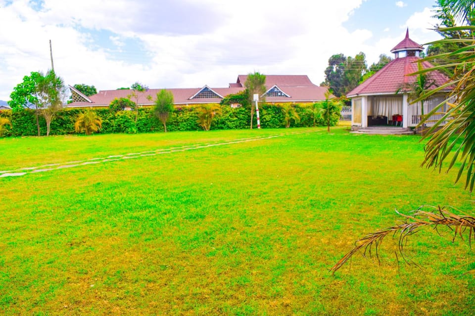 Natural landscape, Garden, Garden, Garden view