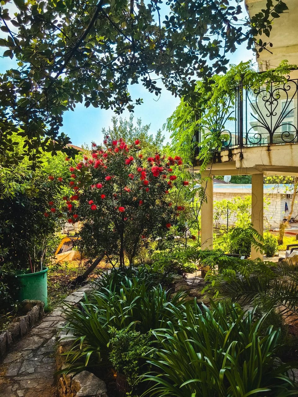 Day, Garden, Garden view