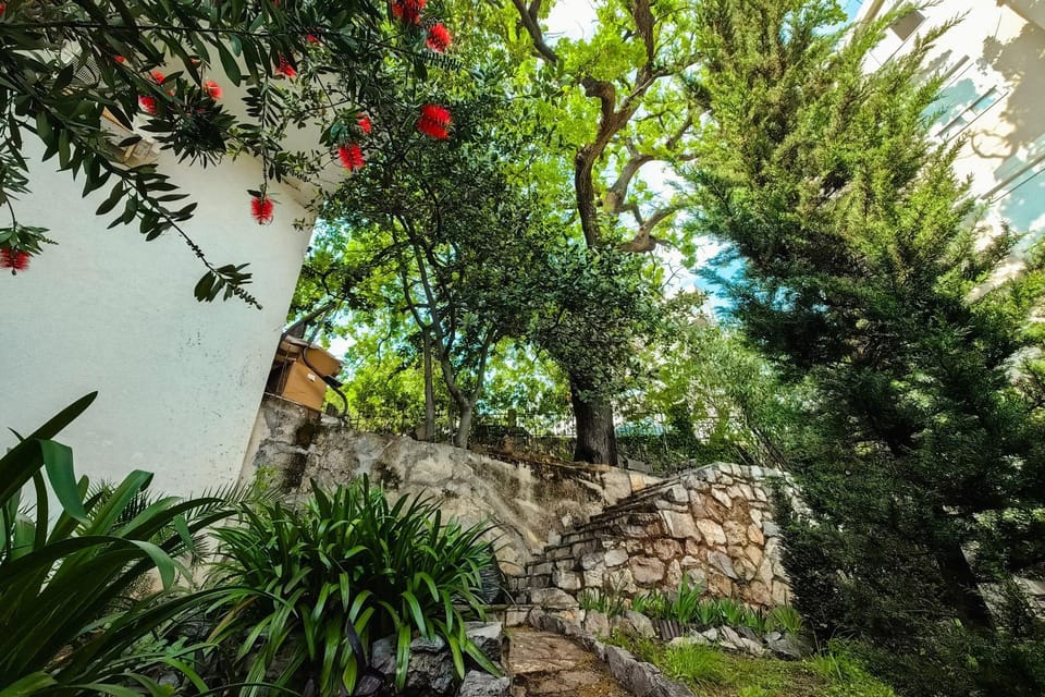Day, Natural landscape, Garden, Garden view