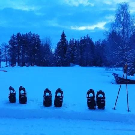 Natural landscape, Winter