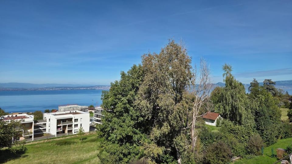 Nearby landmark, Spring, Day, Natural landscape, Lake view, Mountain view, River view, Sea view