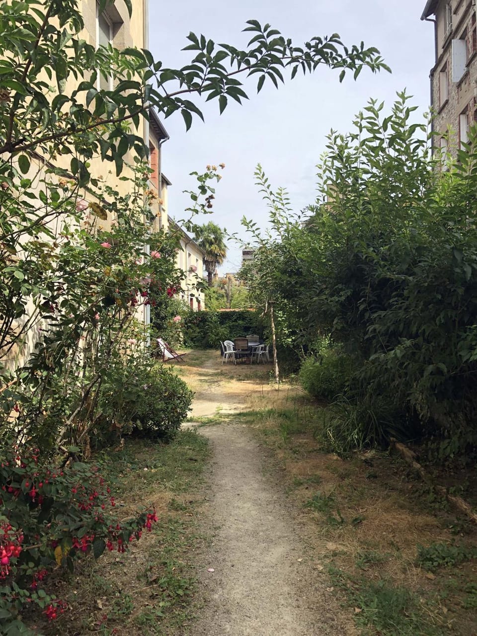Garden view