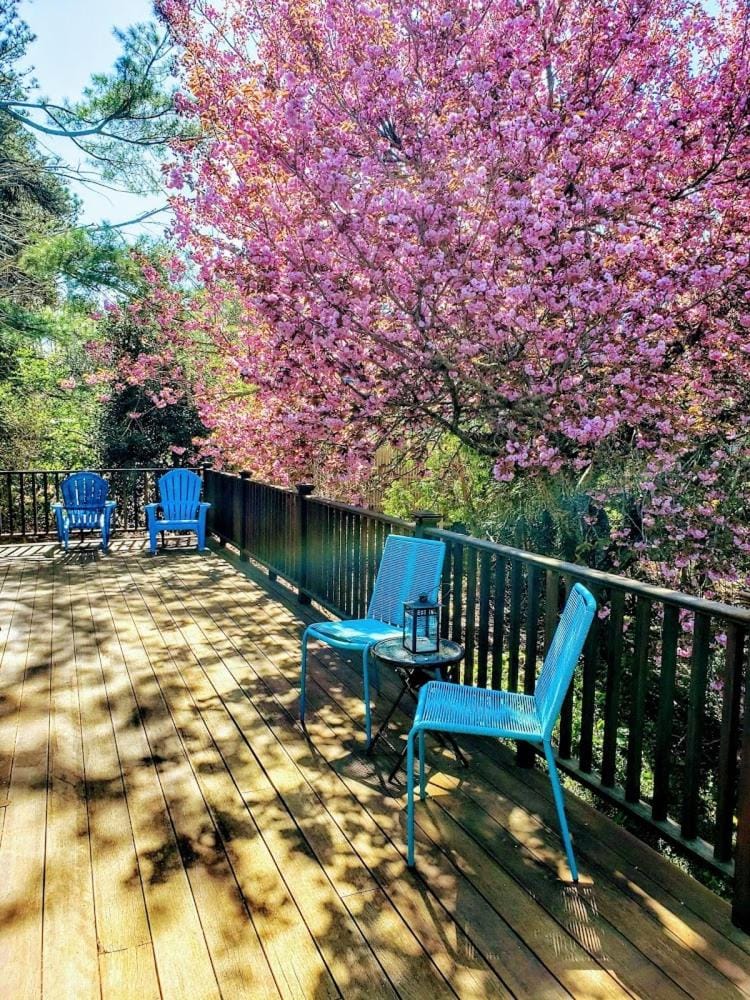 Lovers Lookout House in Chatham