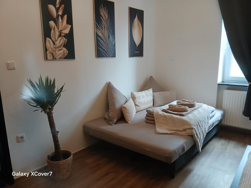 Ideal for 7 with Kitchen near Danube Apartment in Linz