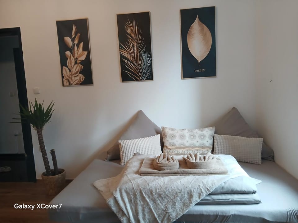 Ideal for 7 with Kitchen near Danube Apartment in Linz