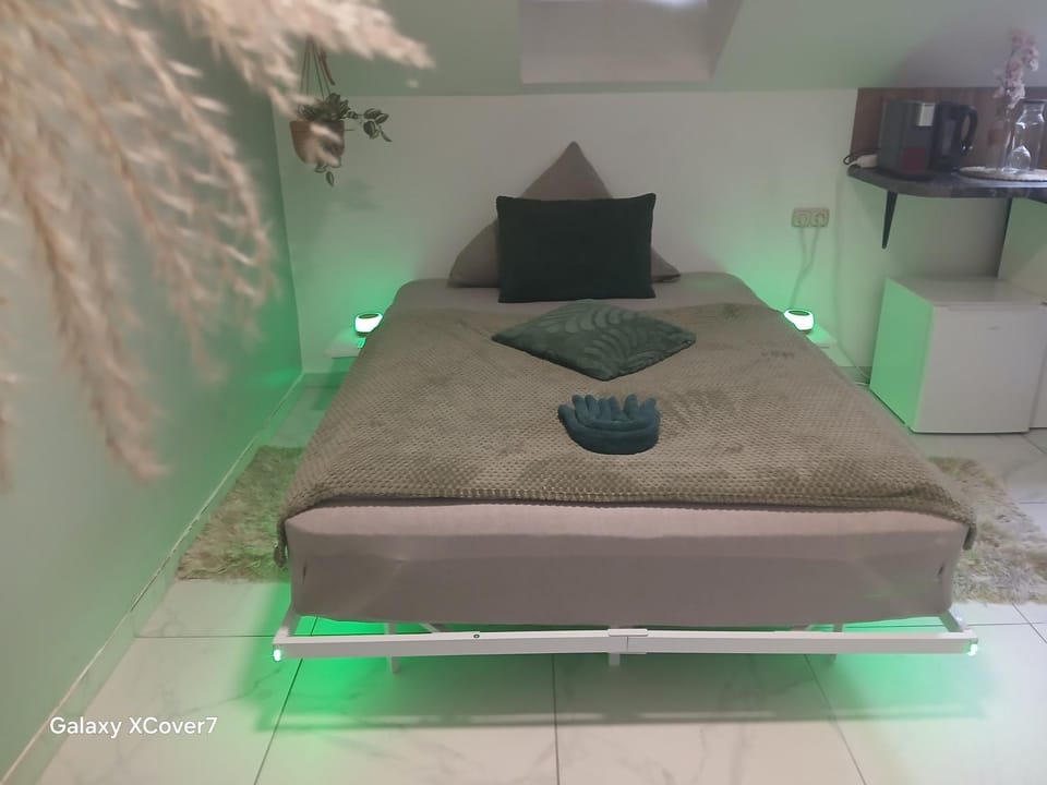 City Honor Green Room Apartment in Linz