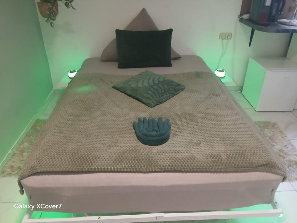City Honor Green Room Apartment in Linz