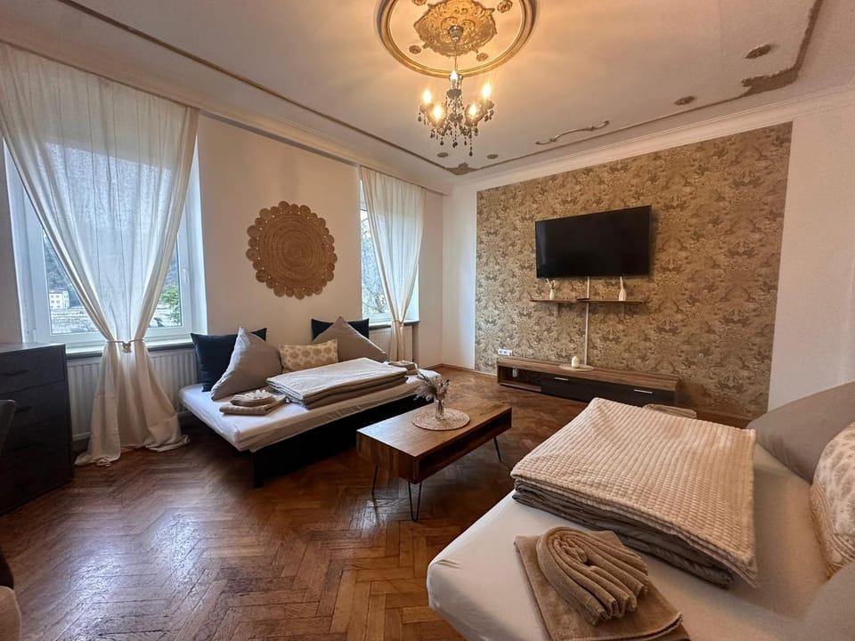 Urban Spacious Bright Apartment with DanubeView Apartment in Linz