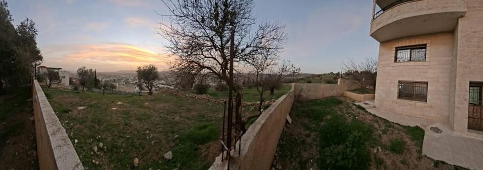Property building, Spring, Garden, Garden view, Sunrise