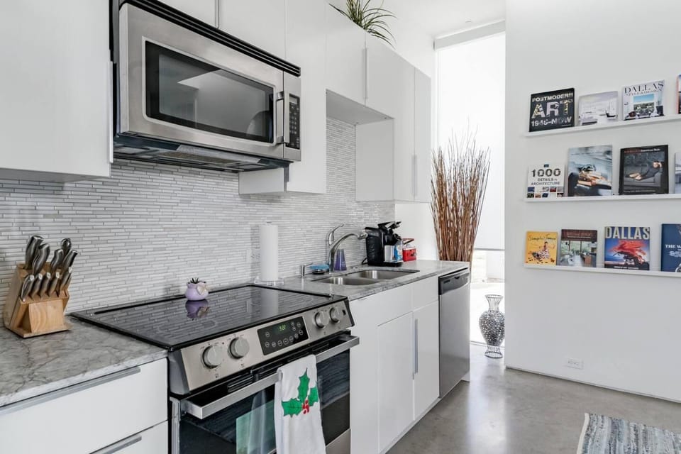 Modern, Dog Friendly Apartment with a Private Patio Apartment in Dallas