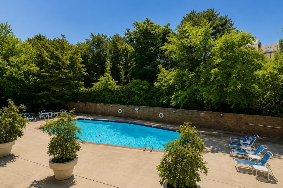 Property building, Swimming pool, sunbed
