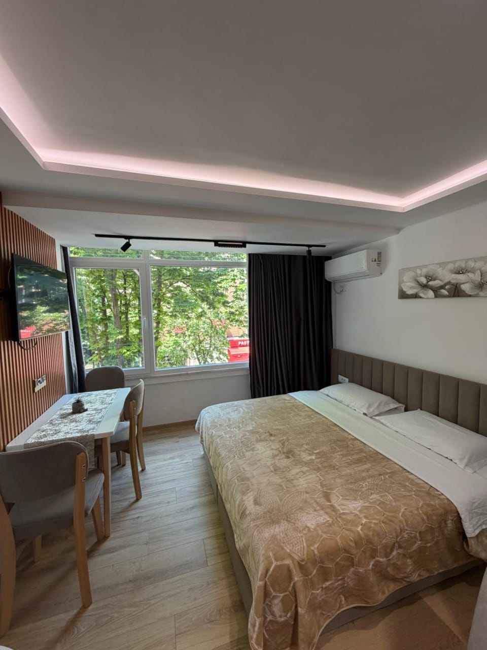 Bed, TV and multimedia, View (from property/room), Living room, Photo of the whole room, Bedroom