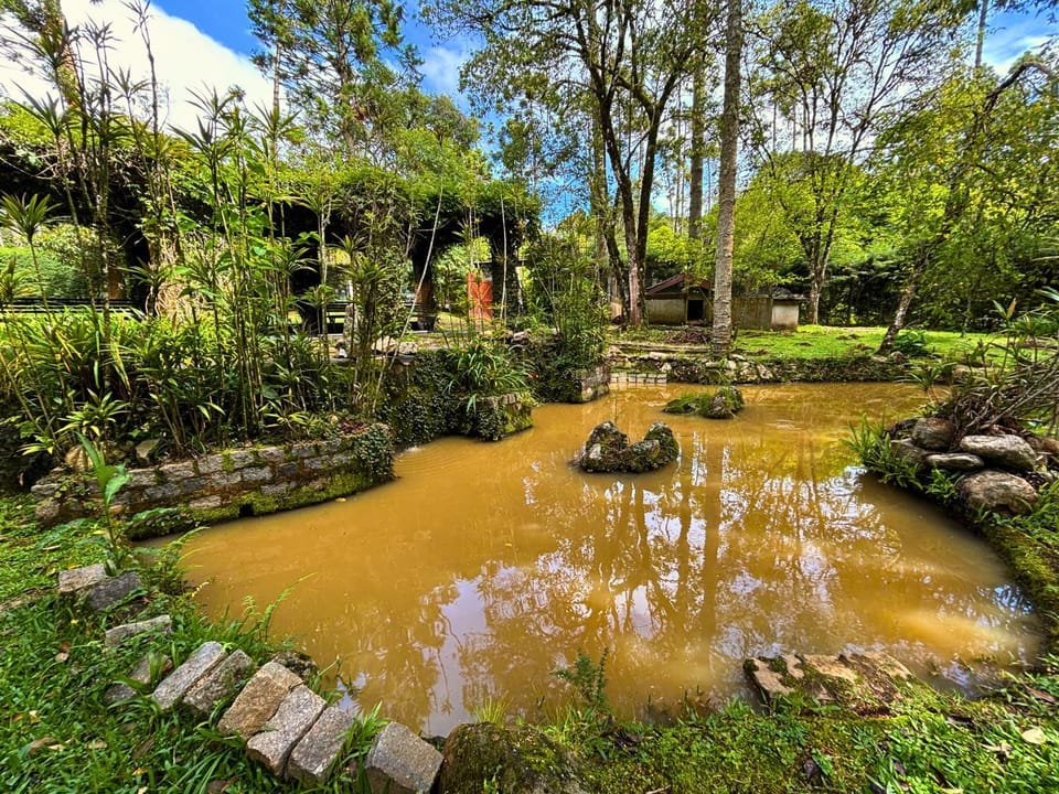Day, Natural landscape, Garden, Garden view