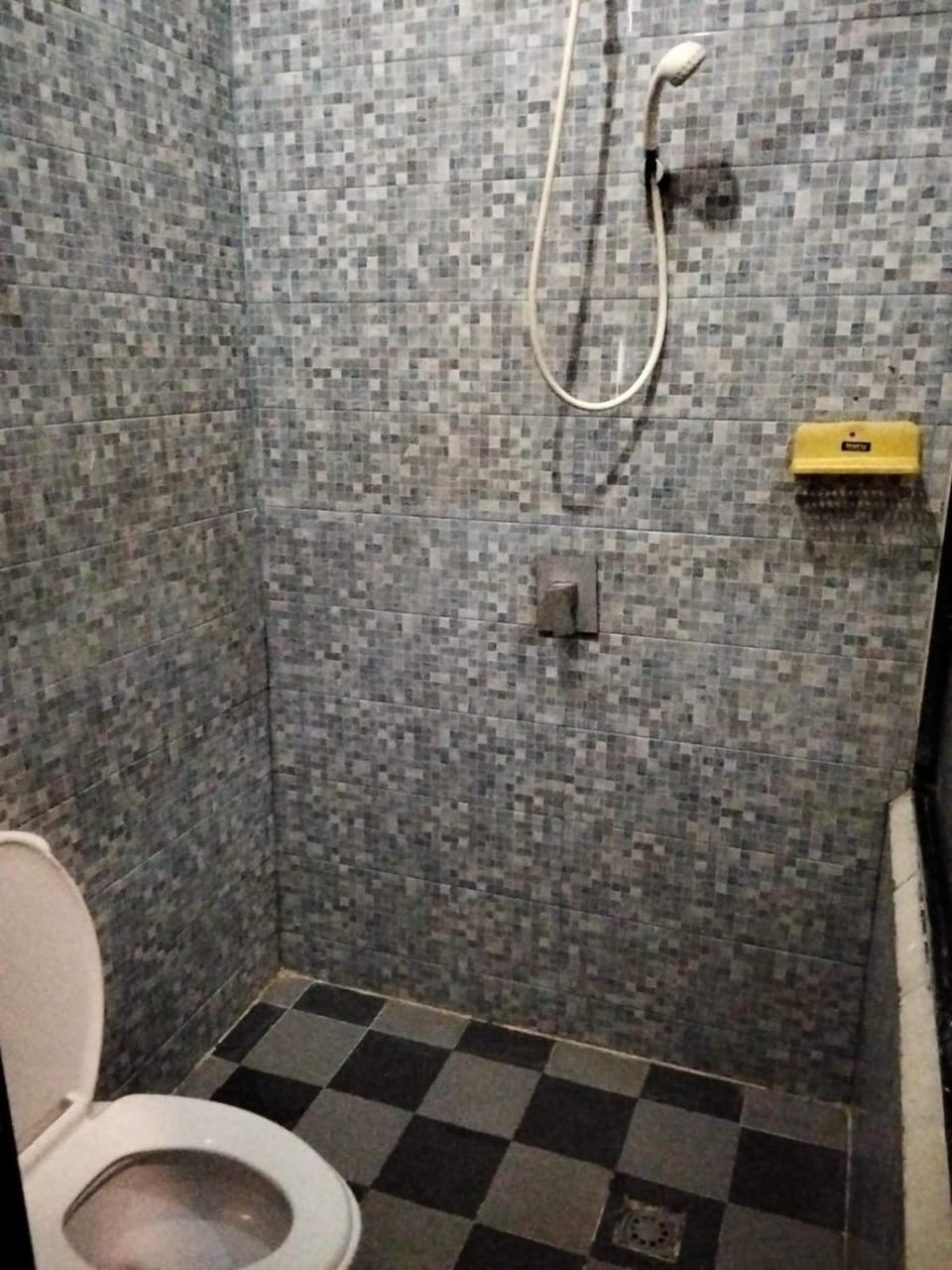 Shower, Toilet