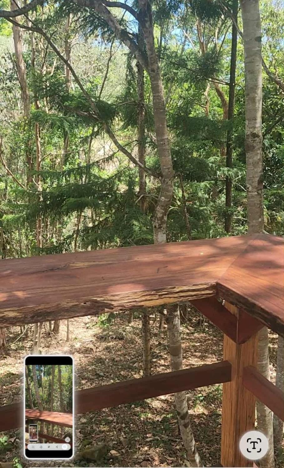 Solara - A Private Dome Nestled in the Trees l Noosa Hinterland House in Queensland