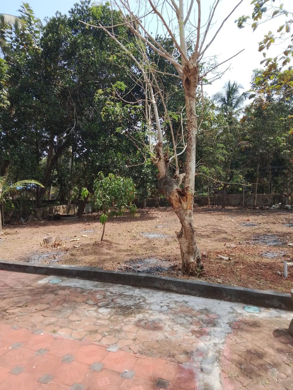 Taaraa Hostel in Varkala