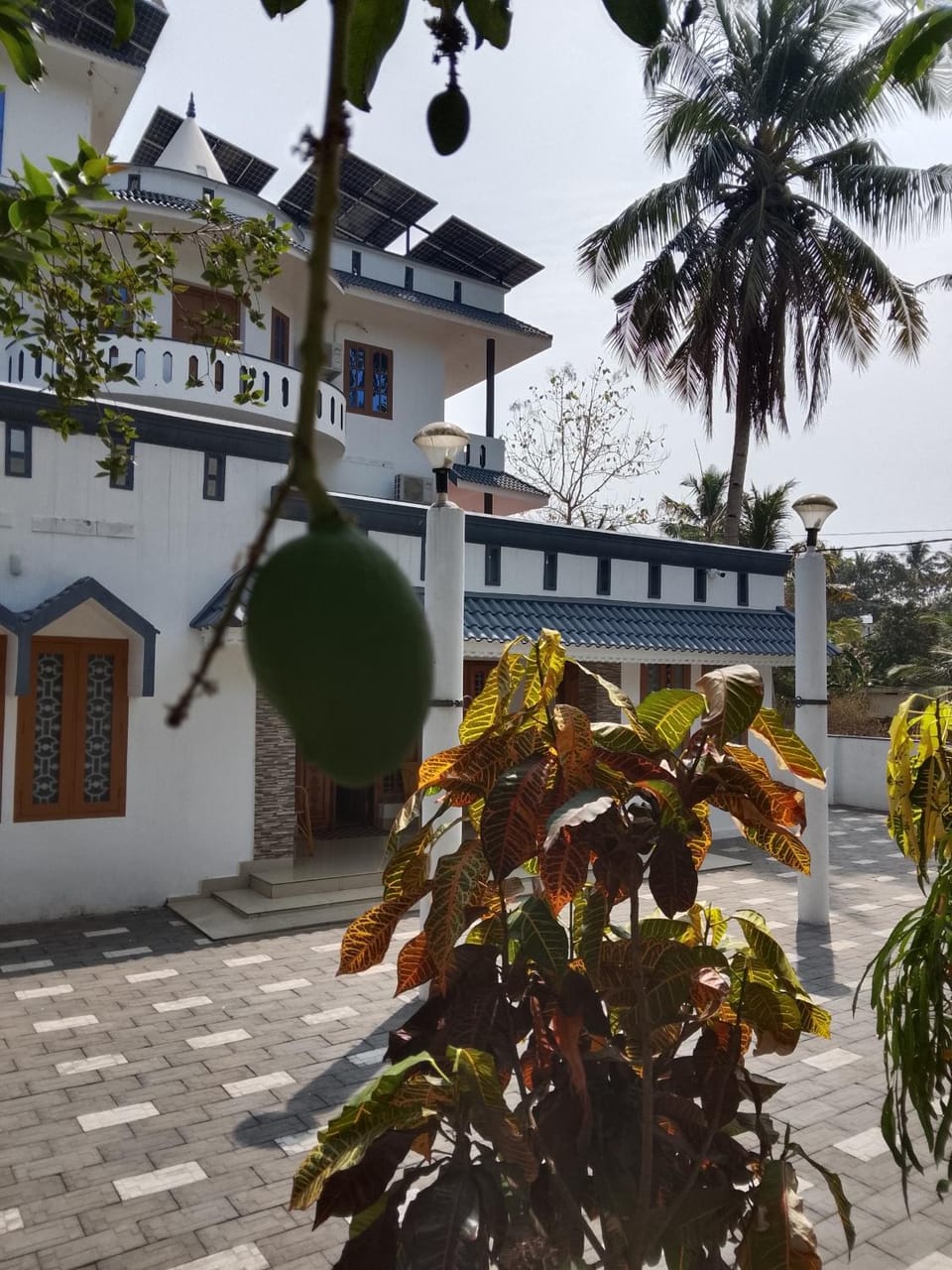 Taaraa Hostel in Varkala