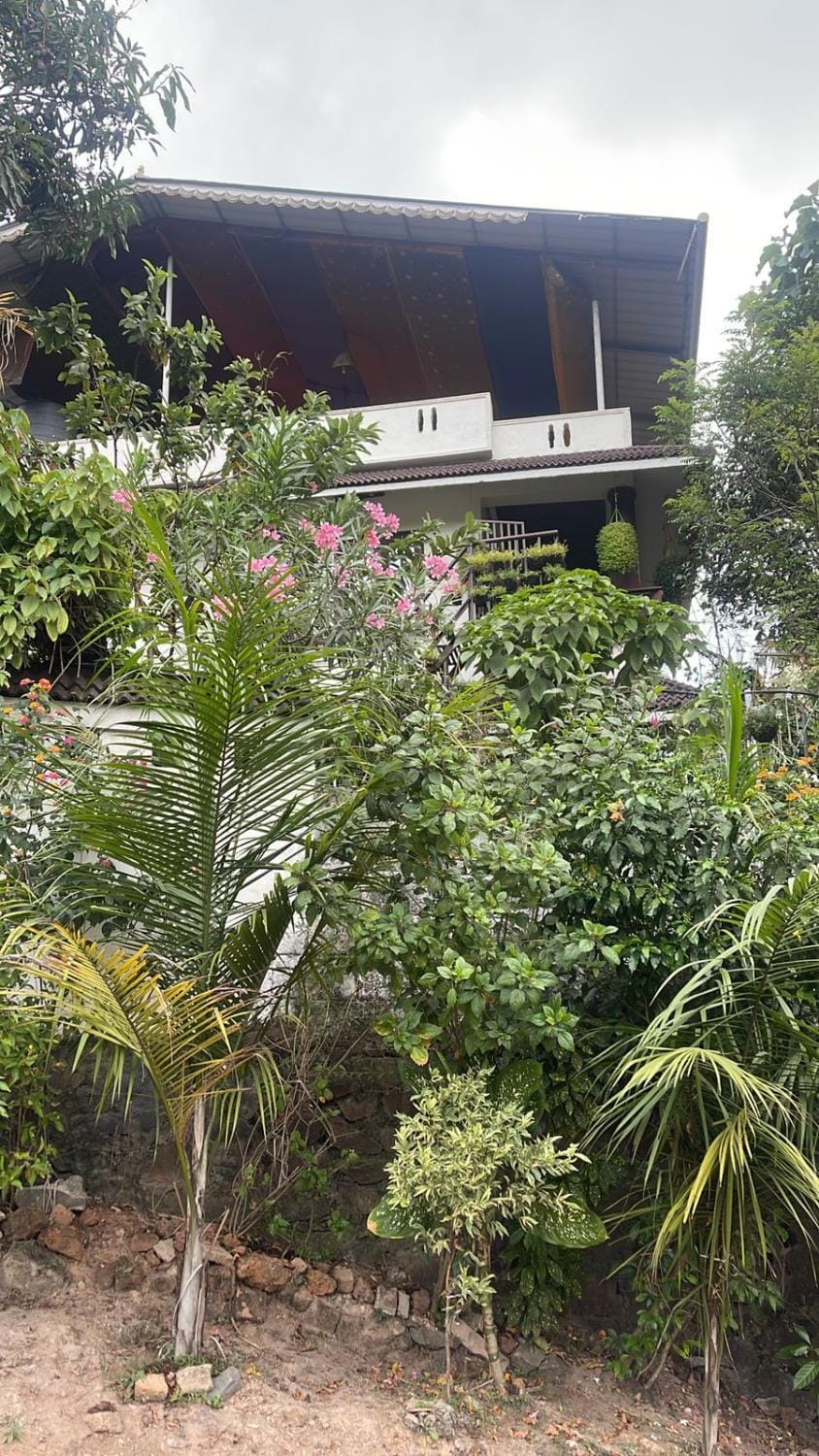 Property building, Day, Natural landscape, Garden, Garden view