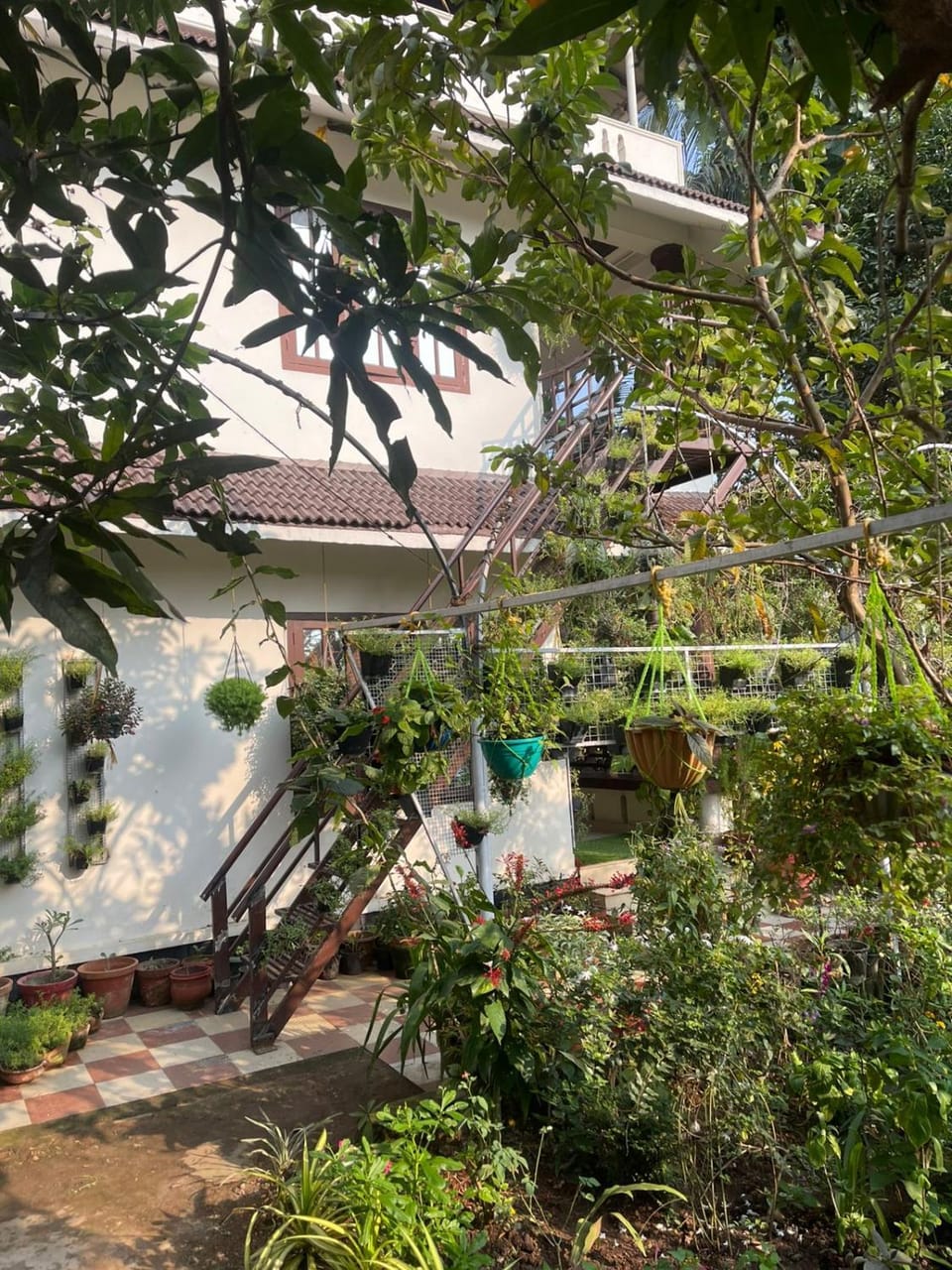 Property building, Day, Garden