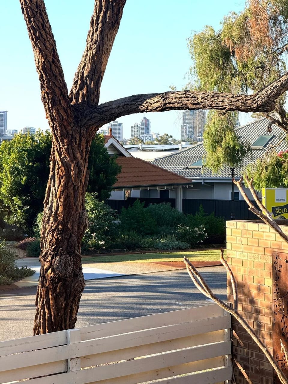 City view