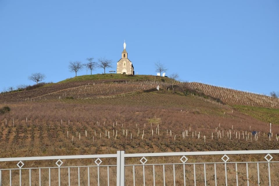 Maison du Tari House in Auvergne-Rhône-Alpes