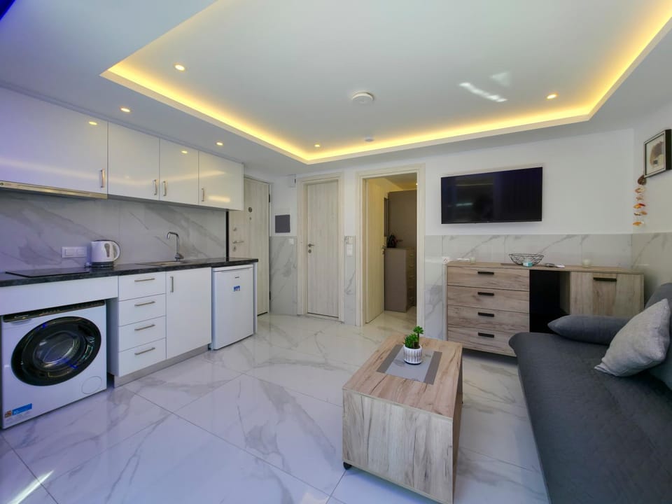 TV and multimedia, Kitchen or kitchenette, Living room, Seating area, stove, washing machine