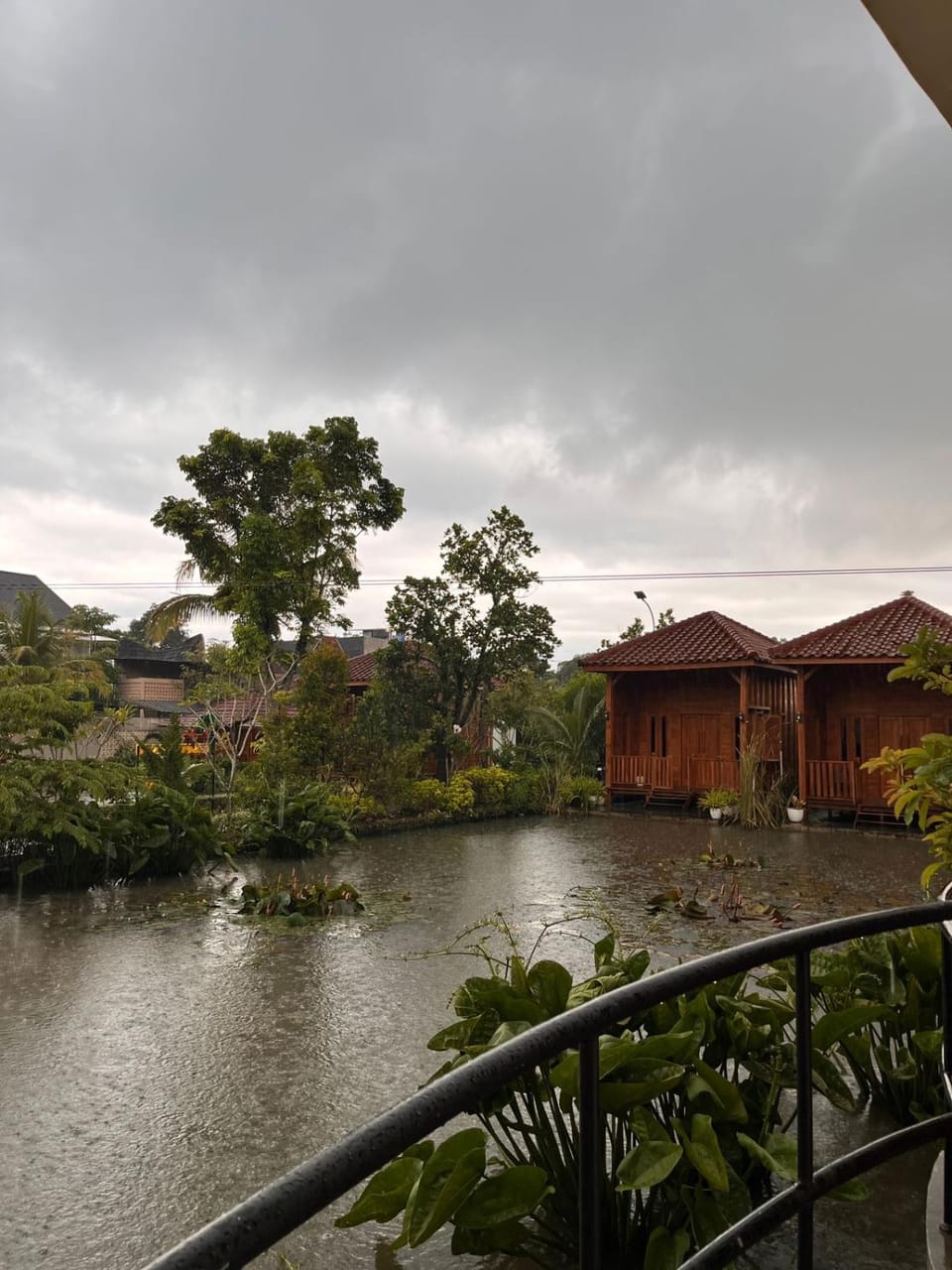 Natural landscape