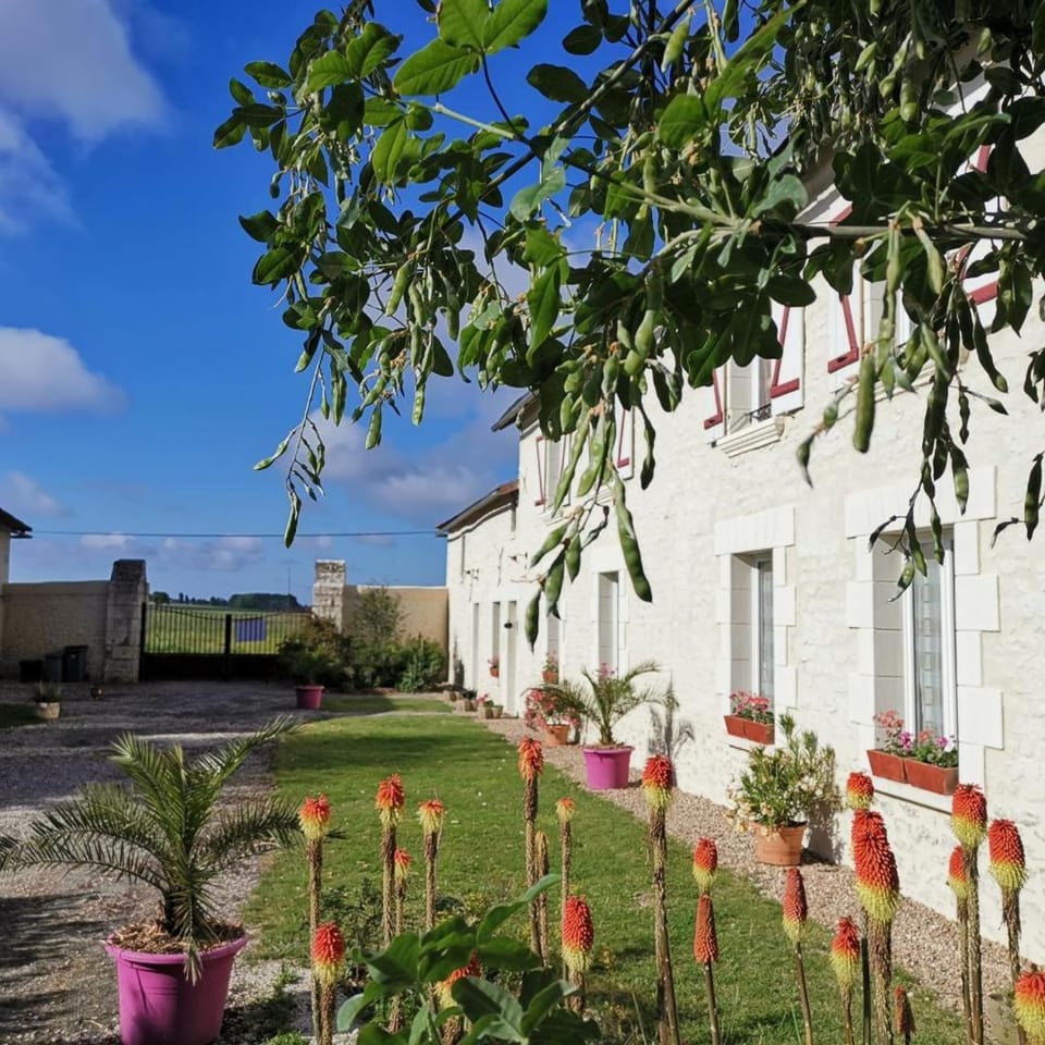 L'althéa House in Nouvelle-Aquitaine