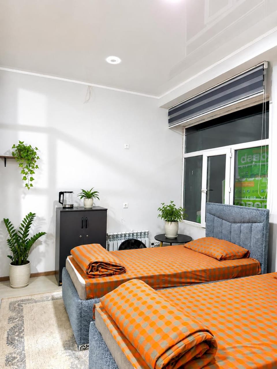 Bed, Living room, Photo of the whole room, Bedroom