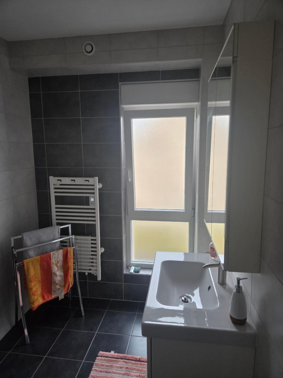 Chambre Z moderne chez l'habitant sympa Vacation rental in Grand Est