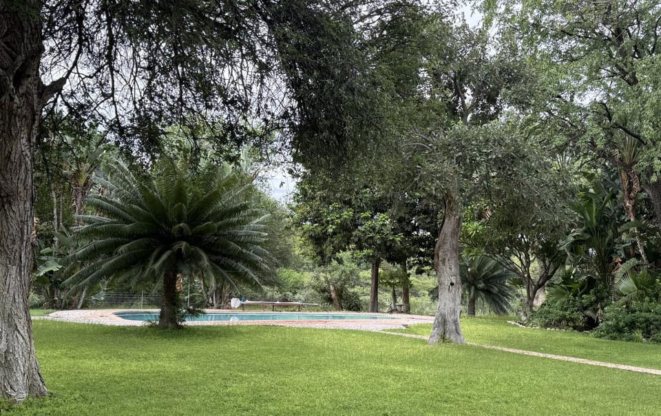 Kaalkraal Safari Lodge Nature lodge in South Africa