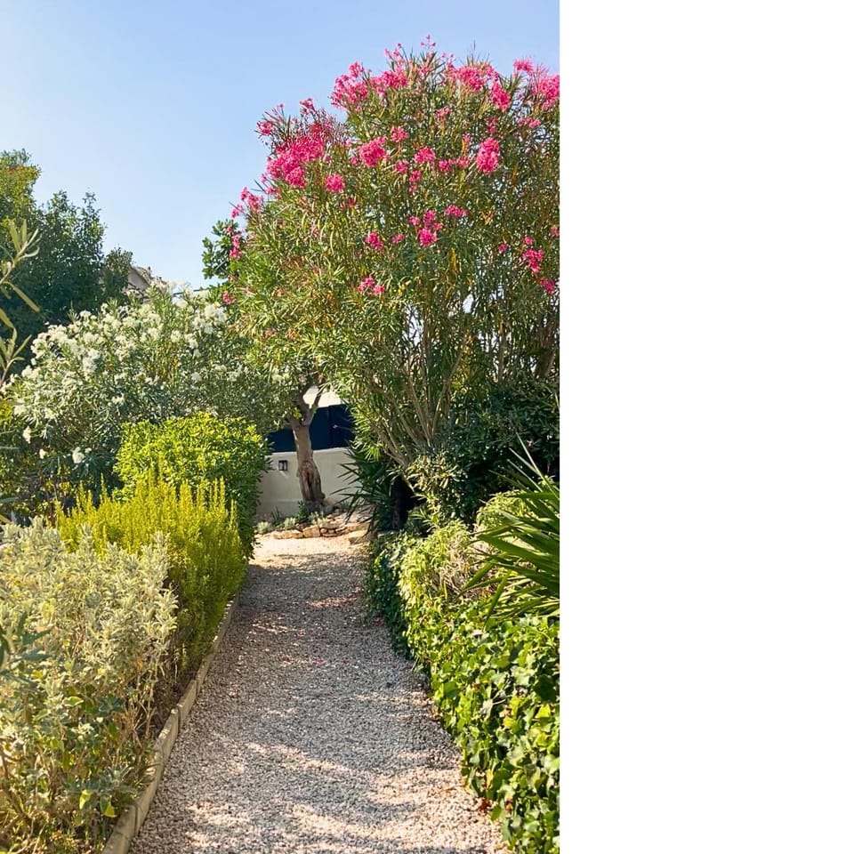 Garden, Garden view