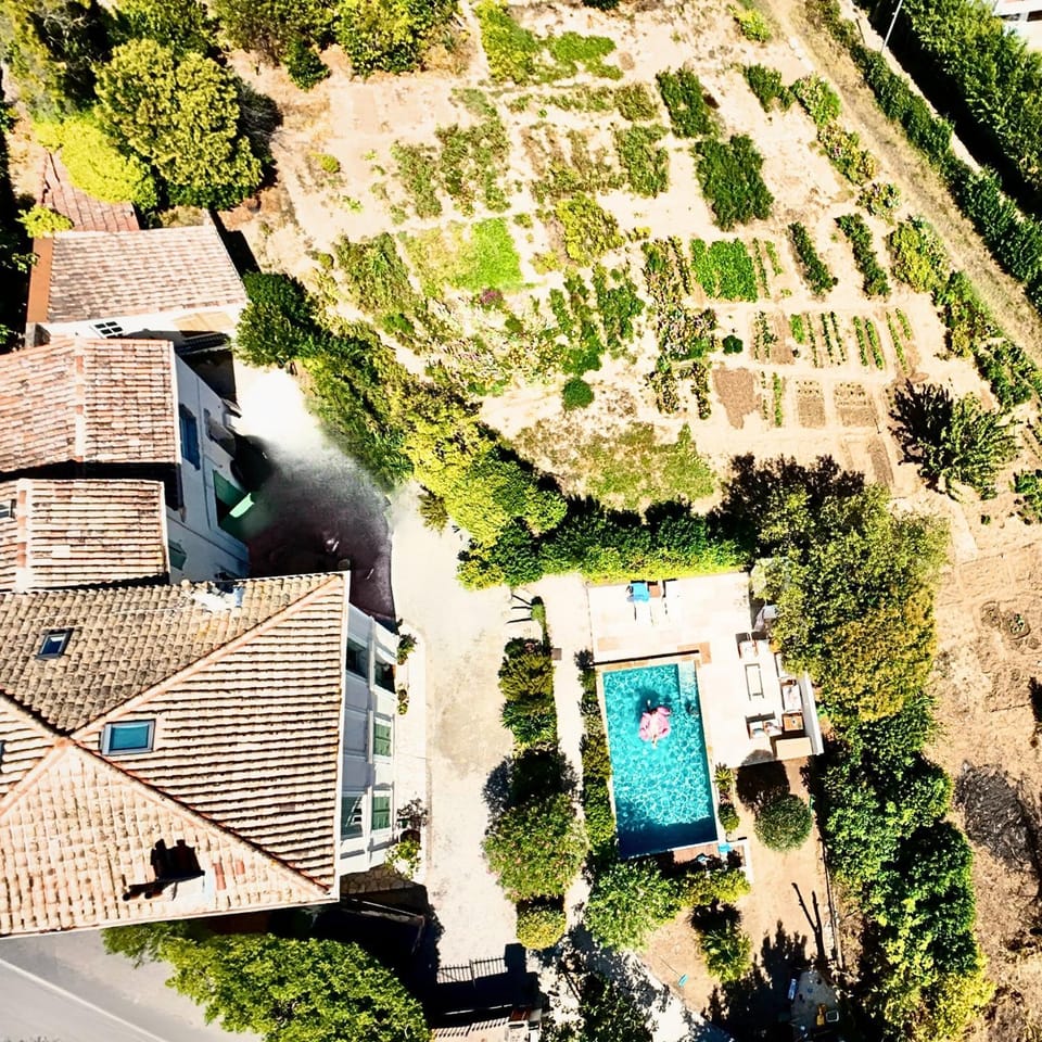 Natural landscape, Bird's eye view, Area and facilities, Swimming pool
