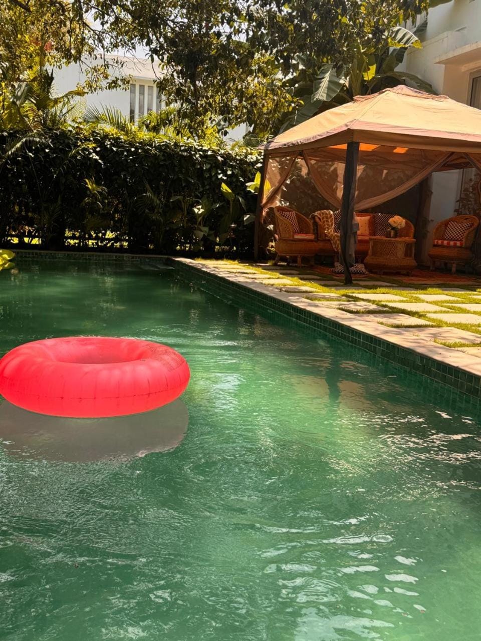 Day, Pool view, Swimming pool, sunbed