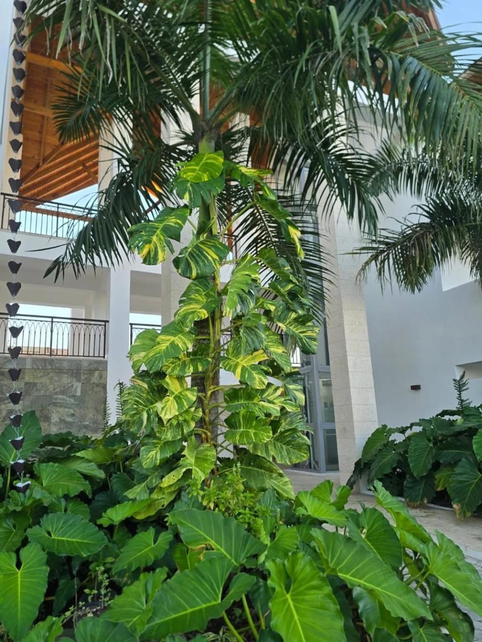 Garden, Garden view