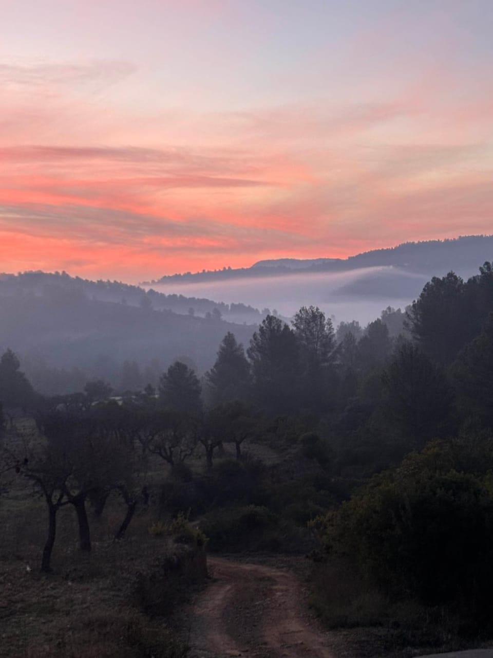 Natural landscape