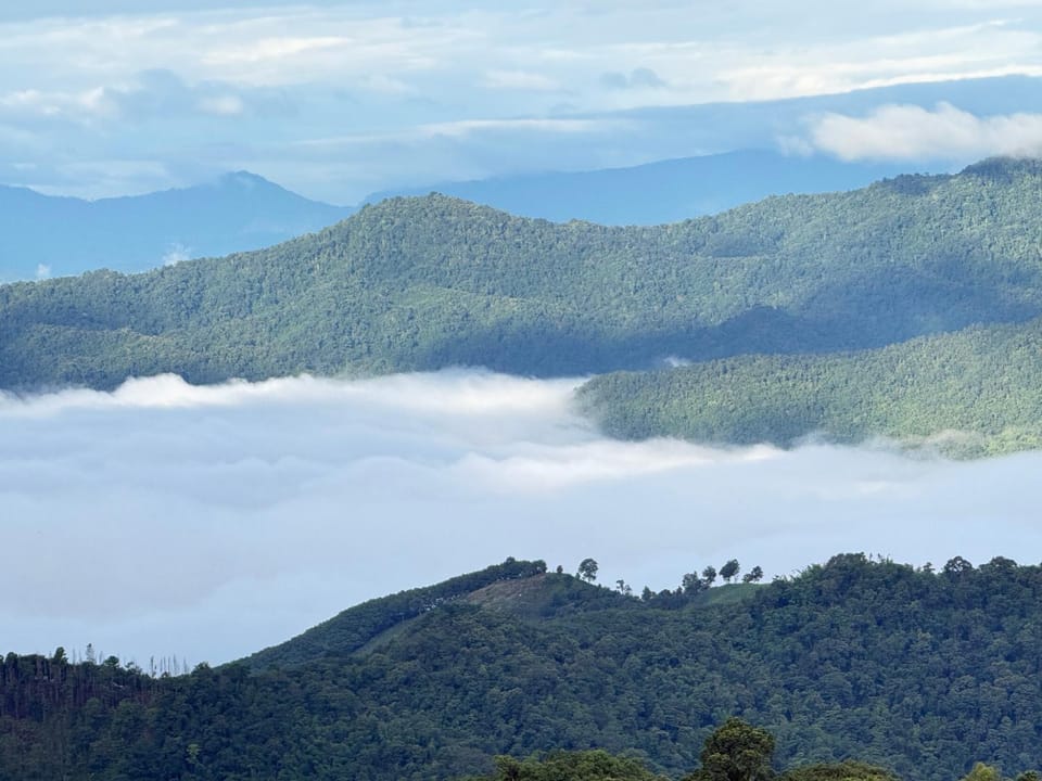 ไร่ชาอาโซ -ที่พักดอยช้าง Farm Stay in Thailand