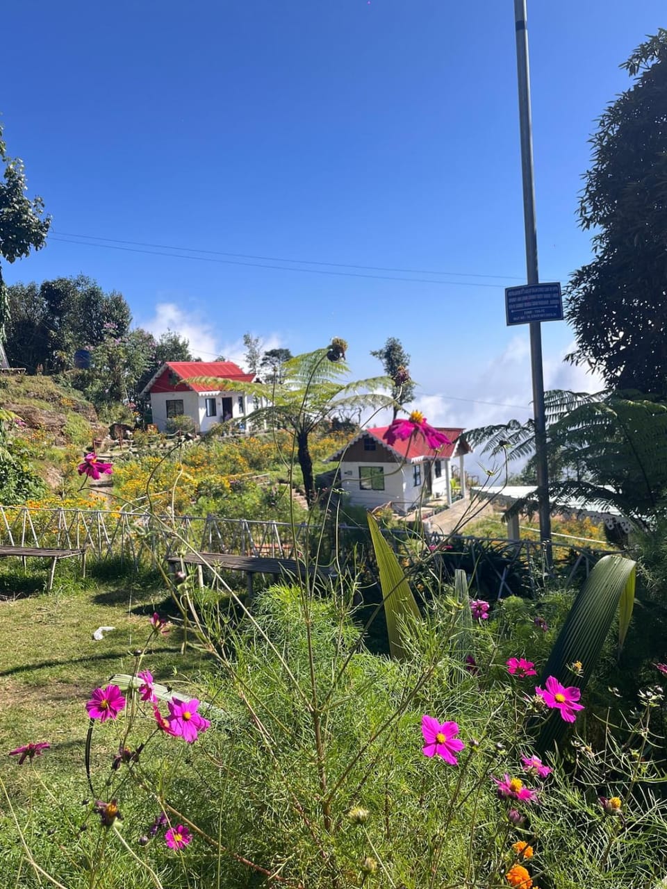 Spring, Day, Natural landscape, Garden, Garden view