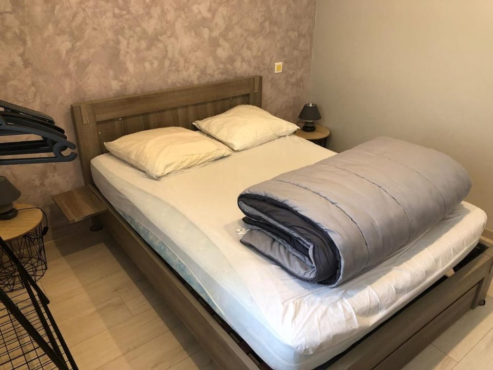 Appartement T2 47m2 avec parking et balcon Apartment in Aix-les-Bains
