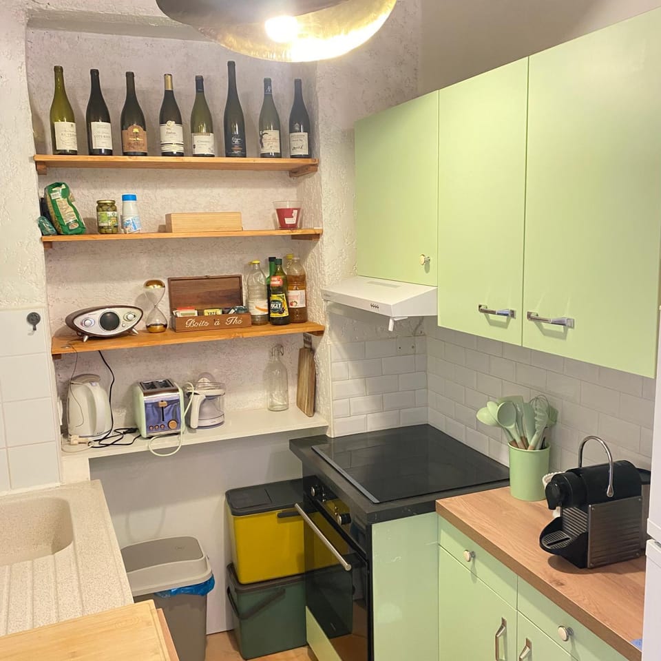 Bords du Rhone Apartment in Condrieu