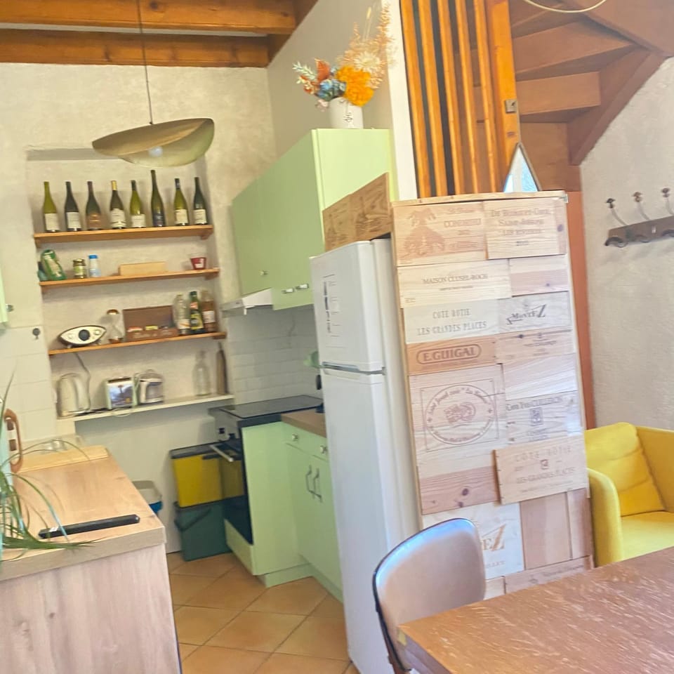 Bords du Rhone Apartment in Condrieu