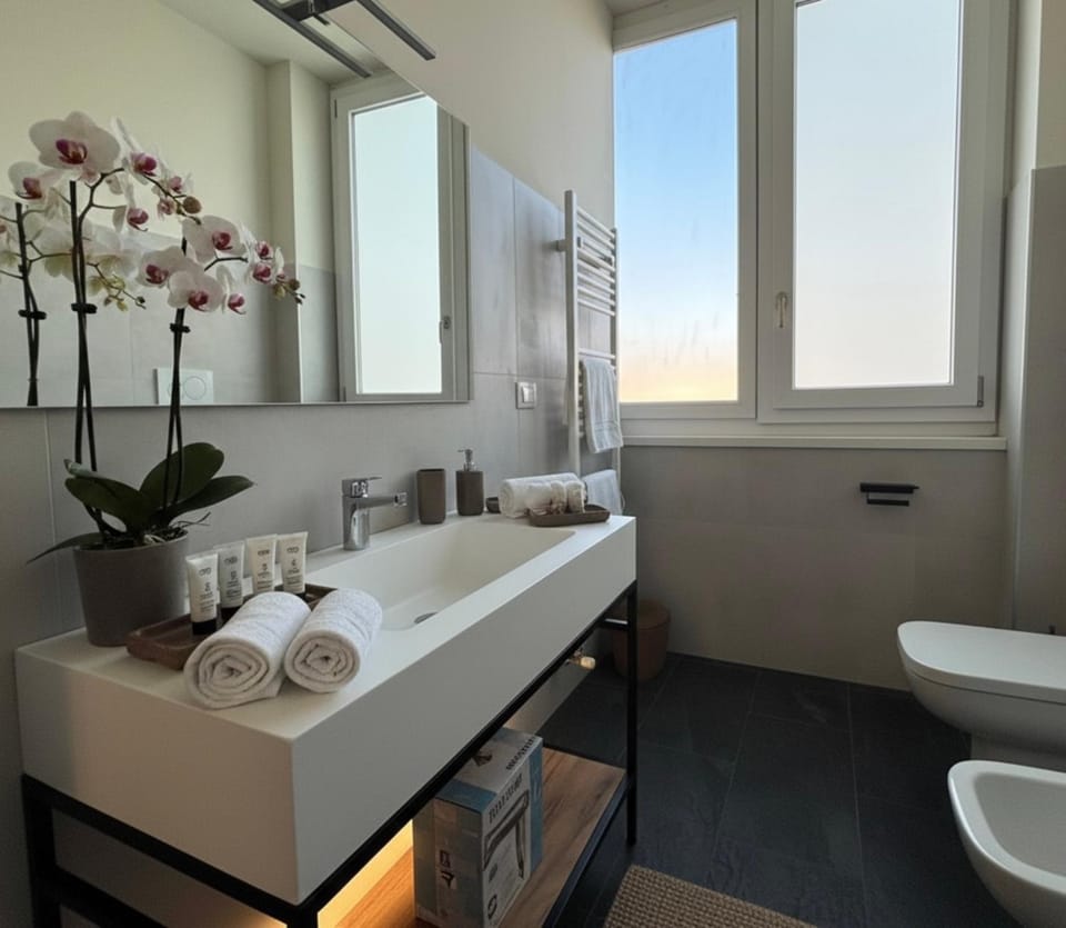 Bathroom, hair dryier