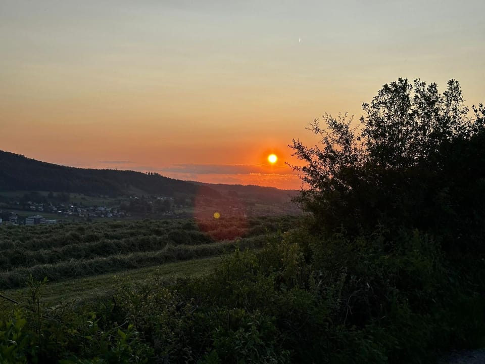 Mountain view