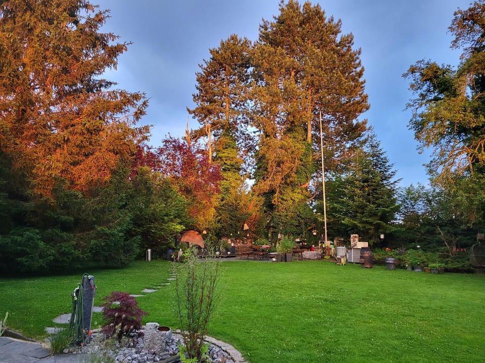 Garden, View (from property/room)