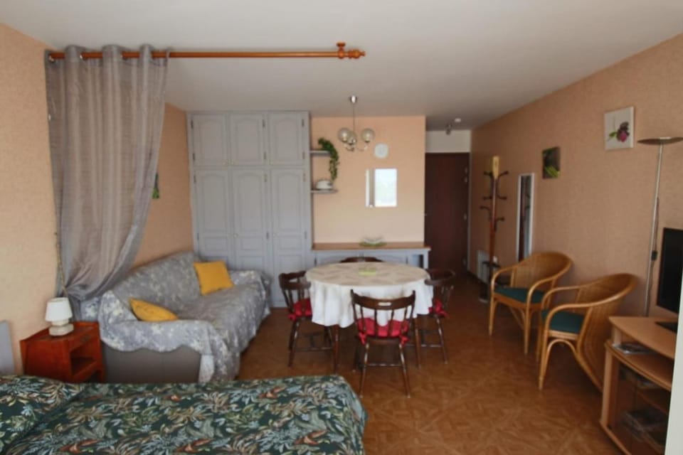 Appartement T1 29 m2 lumineux Vue lac garage Apartment in Aix-les-Bains