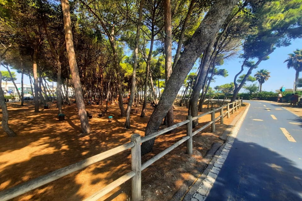 Nearby landmark