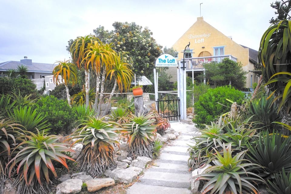 Shower, Garden, Hot Tub, Garden view, Bath