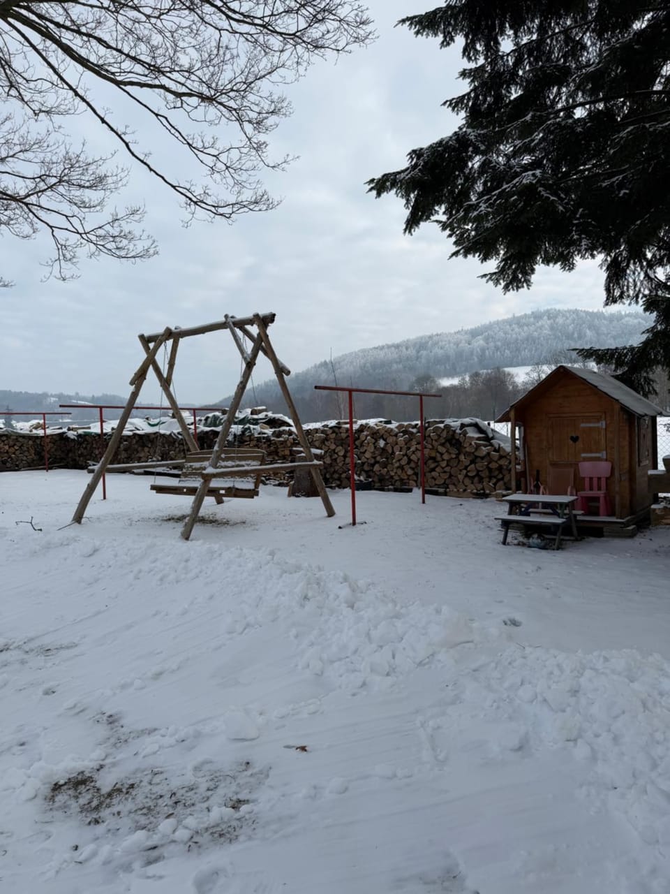 Day, Winter, Garden